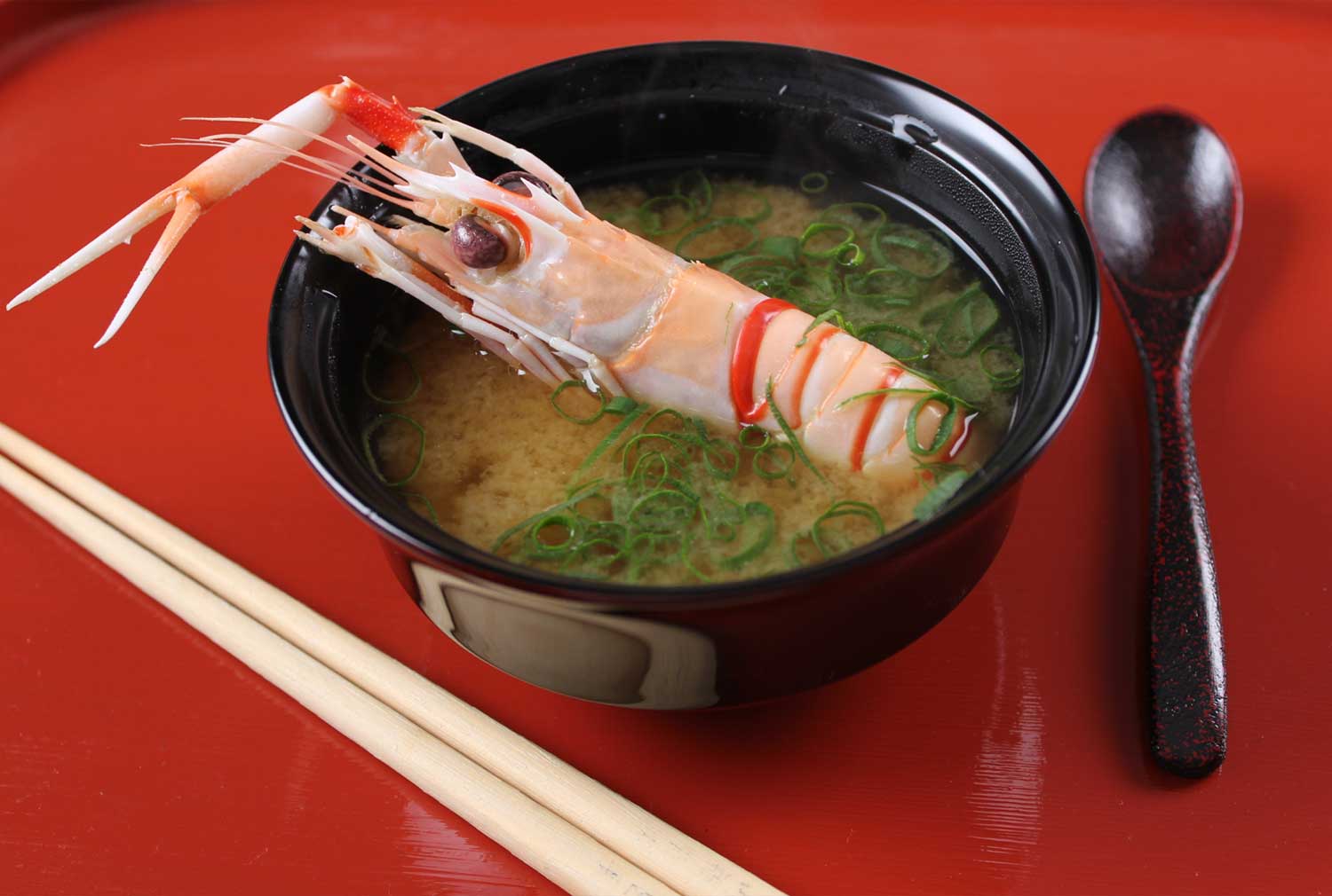 Announcement: New Website Just Launched