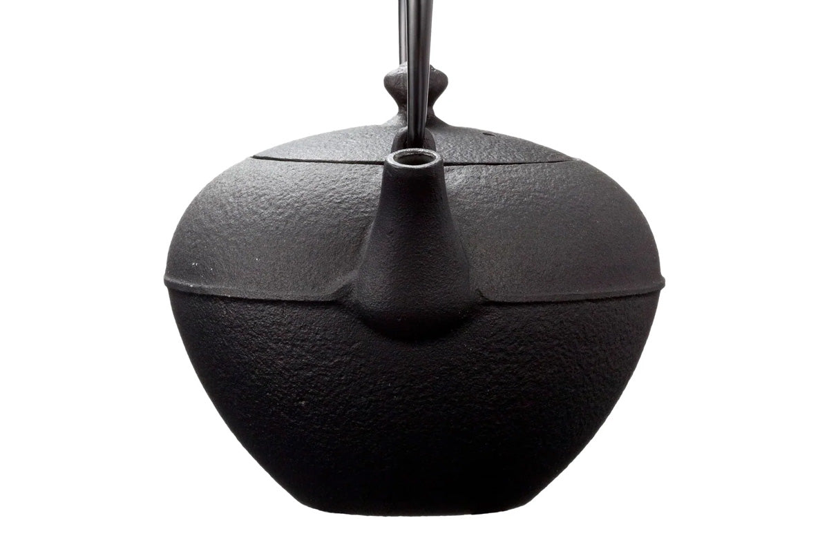 Oigen Teapot Koyuki 600mL