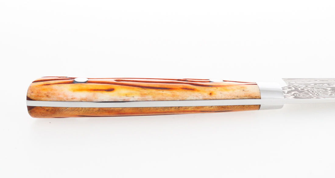Saji Ochre Cowbone R2 240mm Gyuto