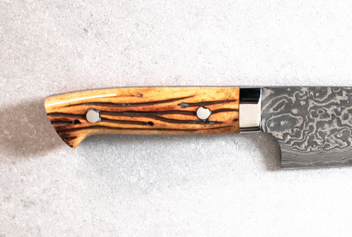 Saji Ochre Cowbone R2 210mm Gyuto