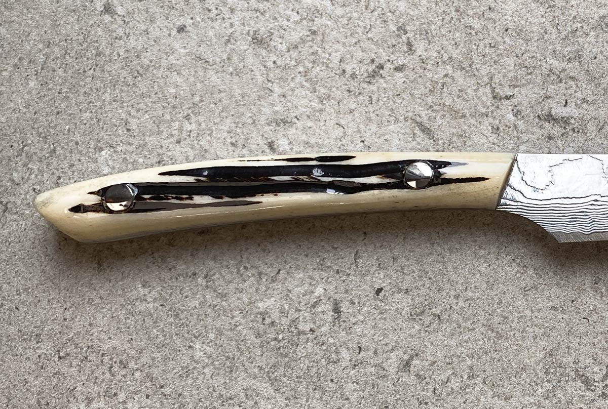 Saji Steak Knife - Cowbone