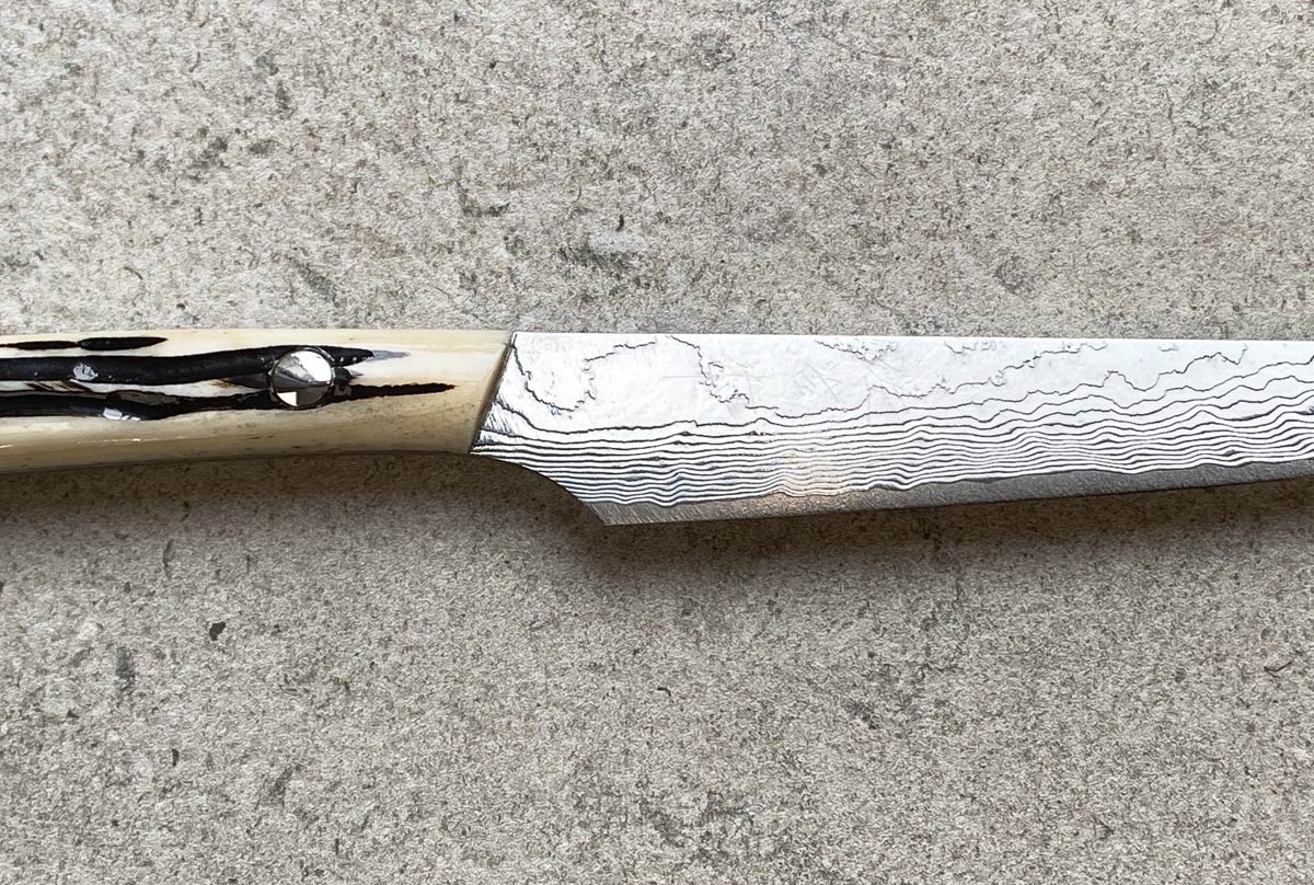 Saji Steak Knife - Cowbone