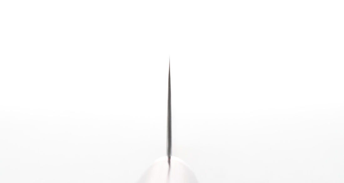 Kaiden Shinka 210 Gyuto