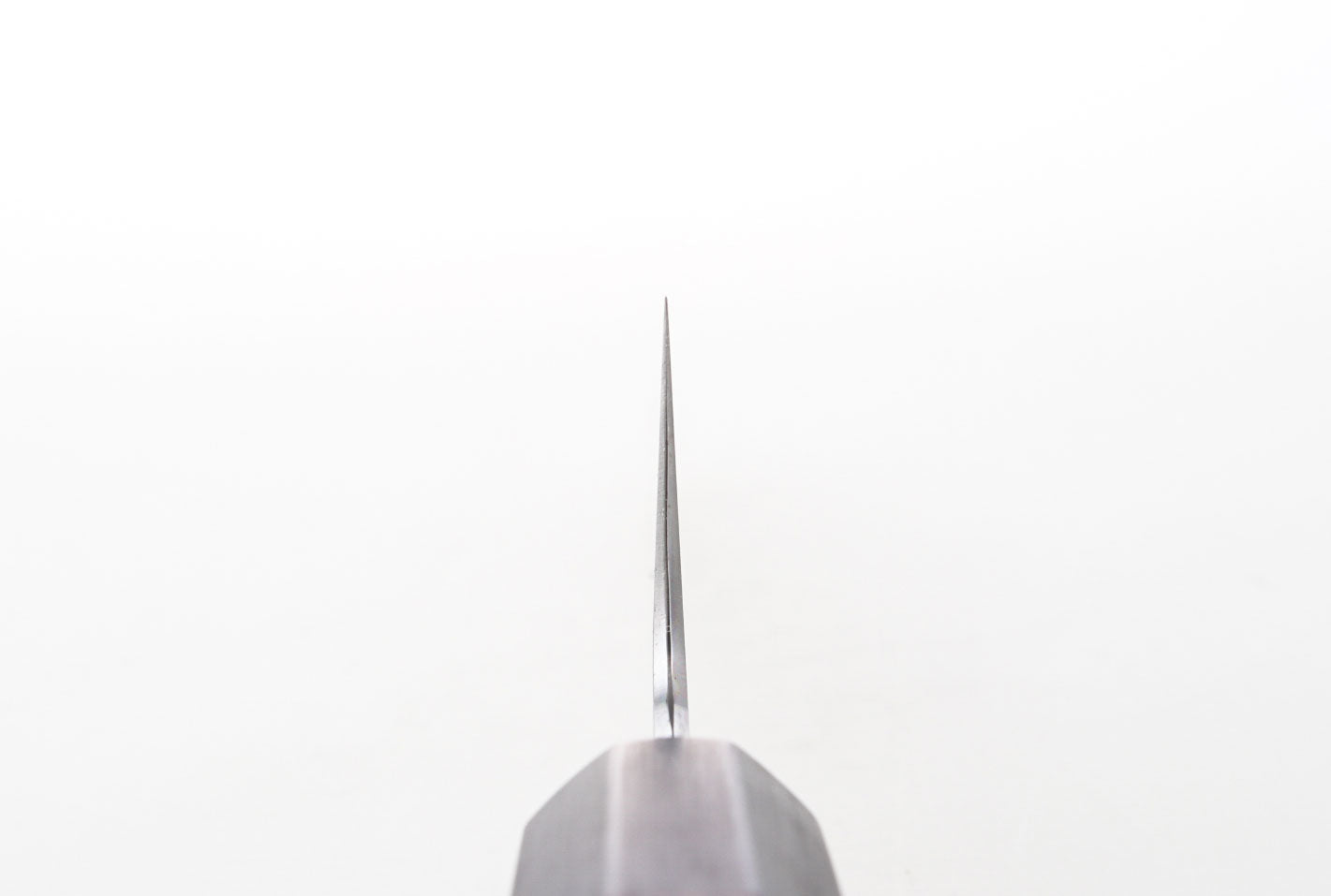 Hado Junpaku W1 210 gyuto