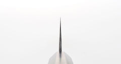 Ichigo Ichie Eucalyptus Black Forged 210 Gyuto - A76