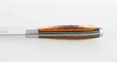Nenox Custom Amber Gyuto 210