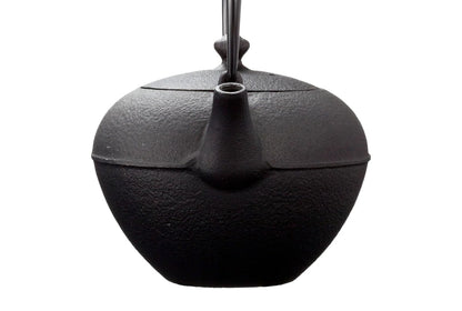 Oigen Teapot Koyuki 600mL