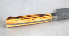 Saji Ochre Cowbone R2 180mm Gyuto