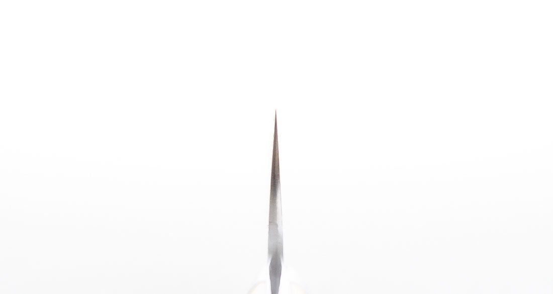 Saji Ochre Cowbone R2 210mm Gyuto