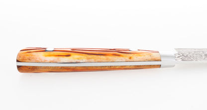 Saji Ochre Cowbone R2 240mm Gyuto