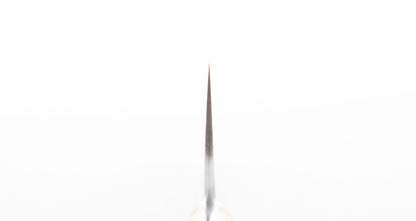Saji Ochre Cowbone R2 240mm Gyuto