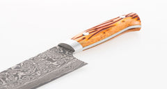 Saji Ochre Cowbone R2 240mm Gyuto