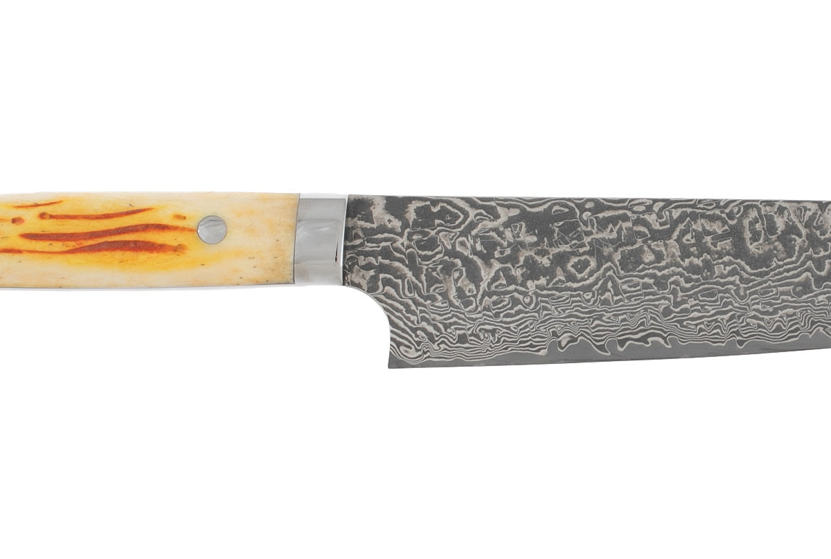 Saji Ochre Cowbone R2 210mm Gyuto