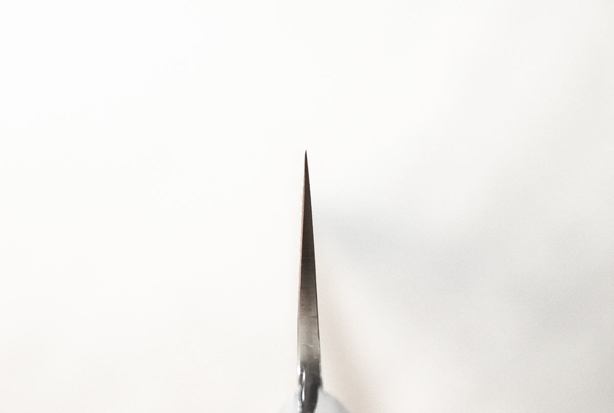 Saji Ochre Cowbone R2 210mm Gyuto
