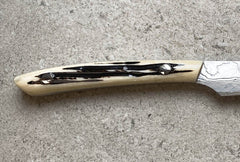 Saji Steak Knife - Cowbone