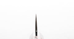 Kaiden Kodo 210mm Gyuto