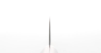 Kaiden Shinka 210 Gyuto