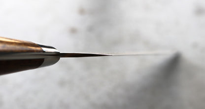 Saji Ironwood R2 240mm Gyuto